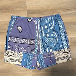 Stylish Blue and Purple Men's Shorts